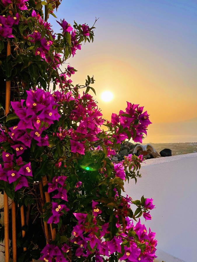 Villa Kastelli88 Santorini Pyrgos Exterior foto